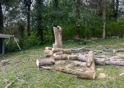 Reputable Landscaping Services