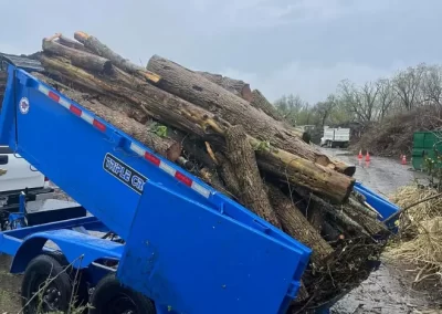 Trusted Local Landscaper